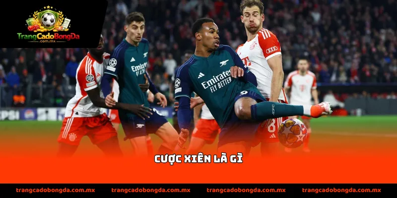 Cược xiên là gì