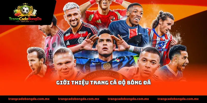 Giới thiệu trang cá độ bóng đá