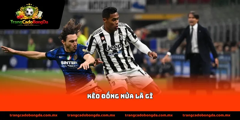 Kèo đồng nửa là gì