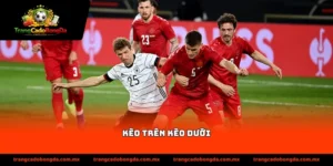 Kèo trên kèo dưới