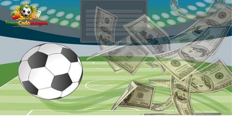Trang cá độ bóng đá là gì? Tại sao nên theo dõi mỗi ngày? Trang cá độ bóng đá là gì? Tại sao nên theo dõi mỗi ngày?