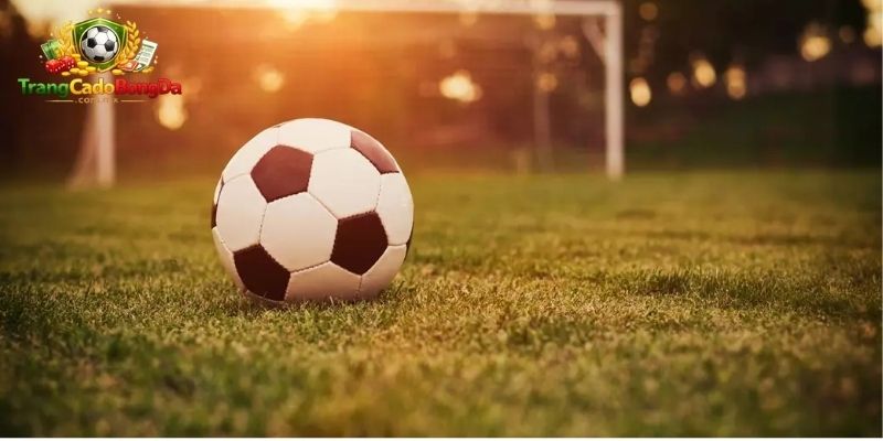 Trang cá độ bóng đá có phù hợp cho tân thủ mới hay không?